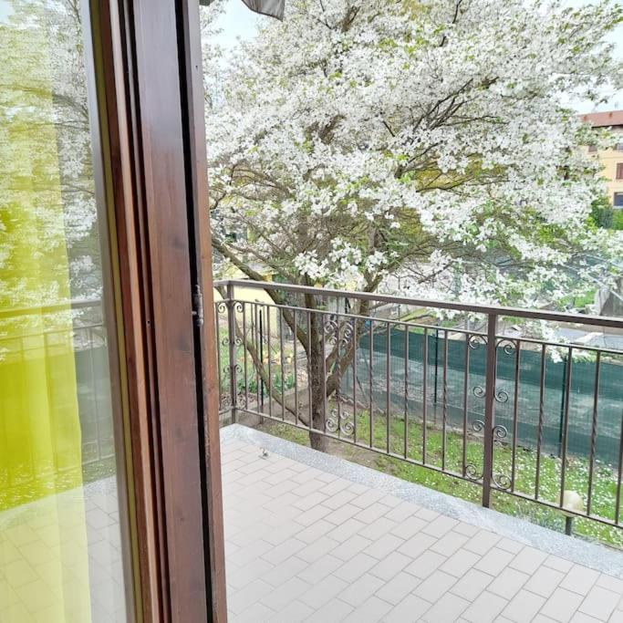 Il Vecchio Kiwi - House With Private Garden Villa Oleggio Castello Ngoại thất bức ảnh