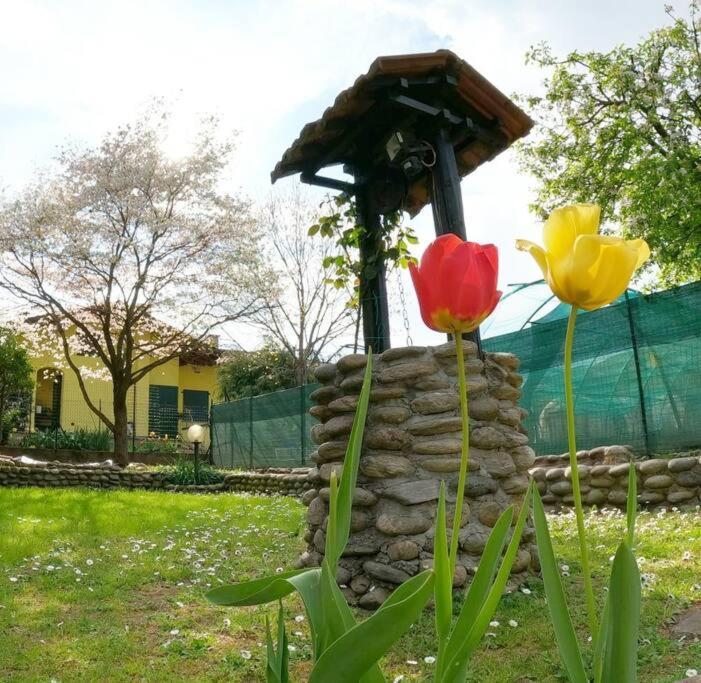 Il Vecchio Kiwi - House With Private Garden Villa Oleggio Castello Ngoại thất bức ảnh