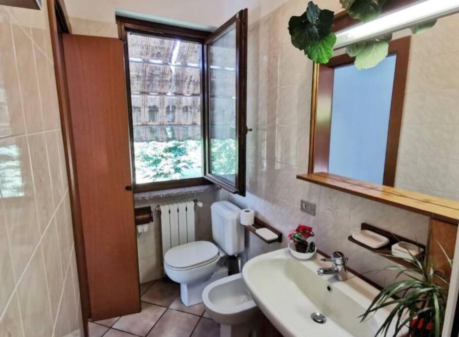 Il Vecchio Kiwi - House With Private Garden Villa Oleggio Castello Ngoại thất bức ảnh
