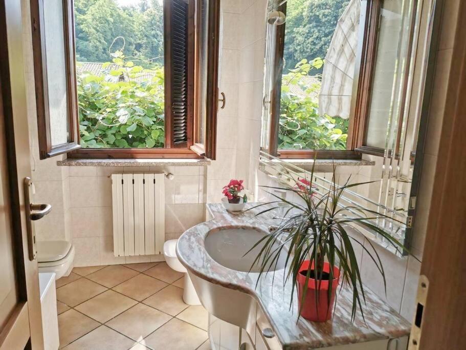 Il Vecchio Kiwi - House With Private Garden Villa Oleggio Castello Ngoại thất bức ảnh